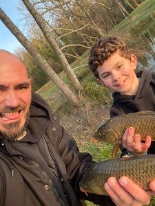 Mirror Carp