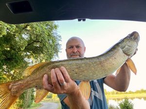 Northern Pike