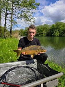 Mirror Carp