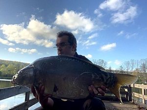Mirror Carp