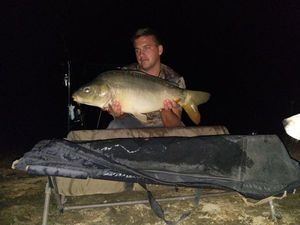Mirror Carp