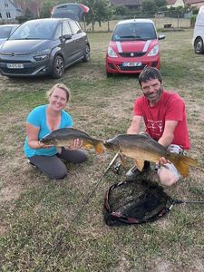 Mirror Carp