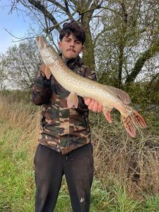 Northern Pike