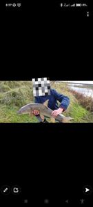 Barbel