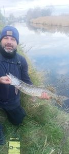 Northern Pike