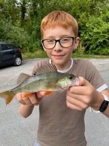 European Perch