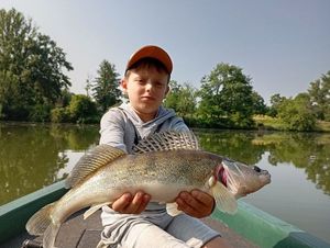 Zander