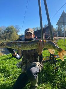 Northern Pike