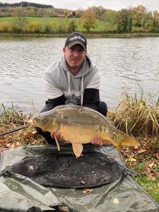 Mirror Carp