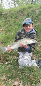 Zander