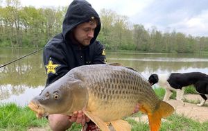 Common Carp