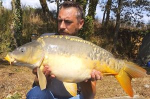 Mirror Carp
