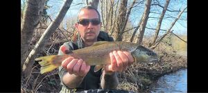 Cutthroat Trout