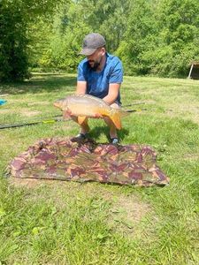 Mirror Carp