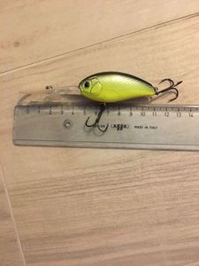 Crankbait