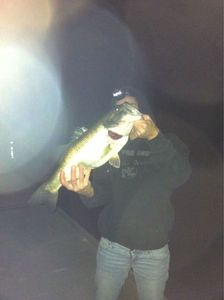Largemouth Bass