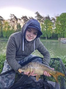 Common Carp