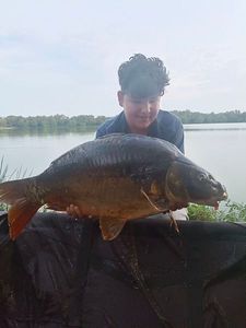 Mirror Carp