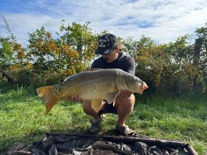 Mirror Carp
