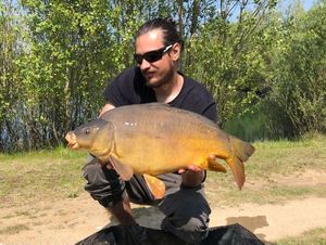 Mirror Carp