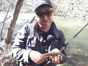 Brown Trout