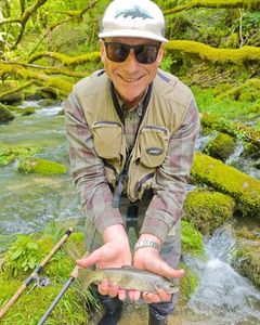 Brown Trout
