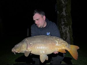 Mirror Carp