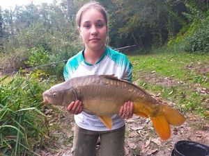 Common Carp