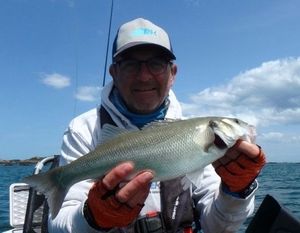 European Bass (Seabass)