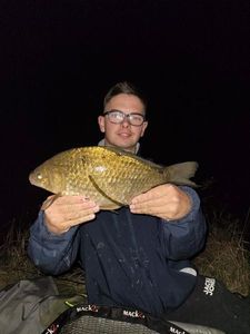 Crucian Carp