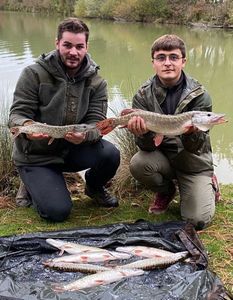 Northern Pike