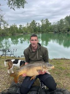 Mirror Carp