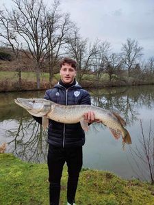 Northern Pike