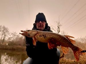 Northern Pike