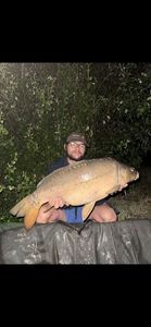 Mirror Carp