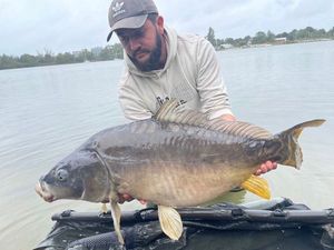 Mirror Carp