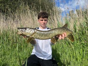 Northern Pike
