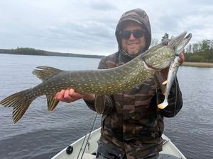 Northern Pike