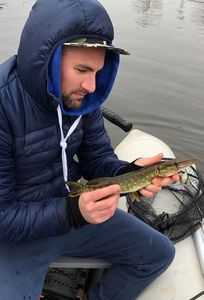 Northern Pike