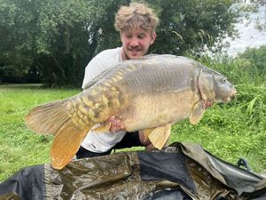 Mirror Carp