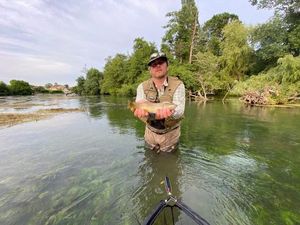 Brown Trout