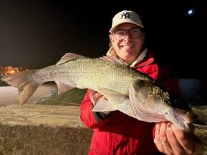 European Bass (Seabass)