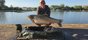 Grass Carp