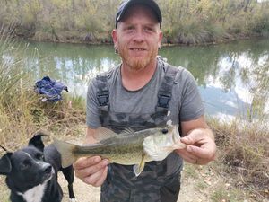 Largemouth Bass