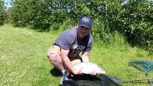 Common Carp
