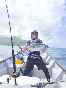 Albacore