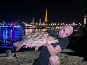 Common Carp
