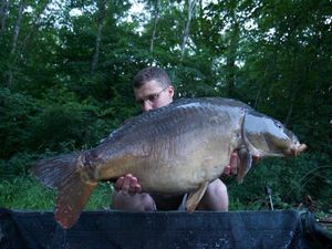 Mirror Carp