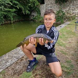 Mirror Carp