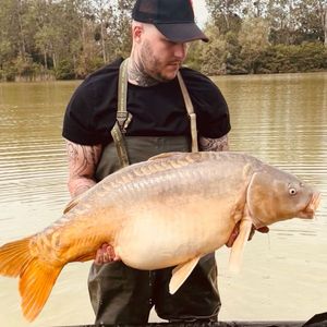 Leather Carp